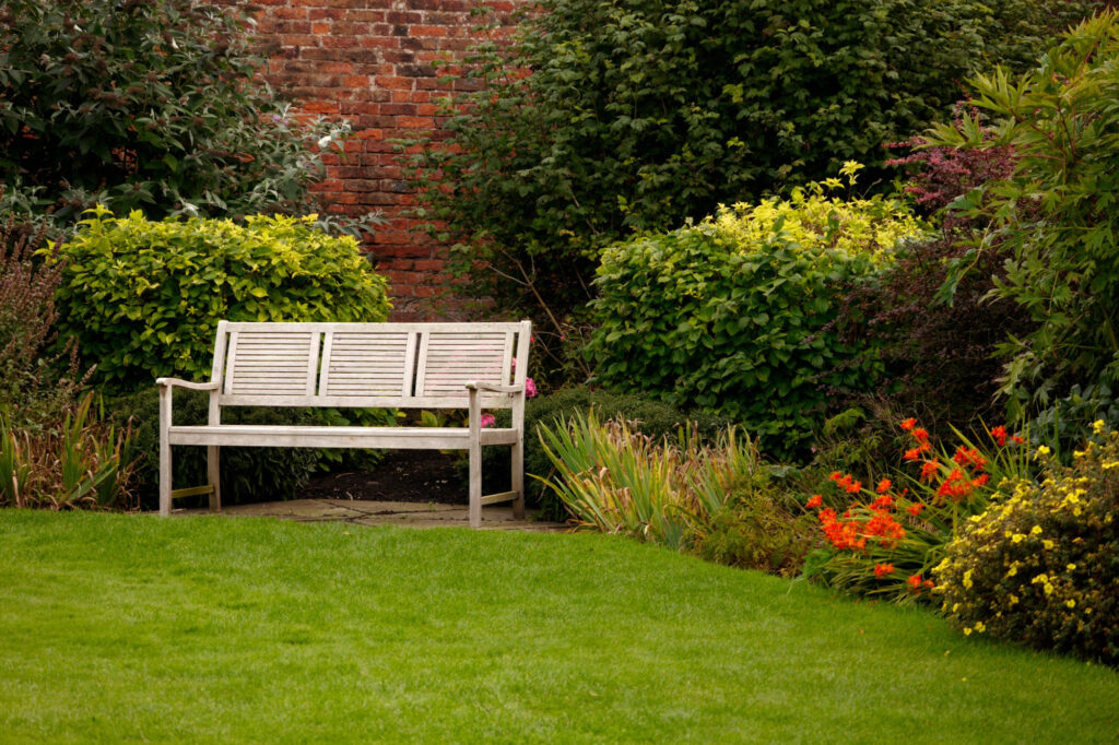 garden clearance